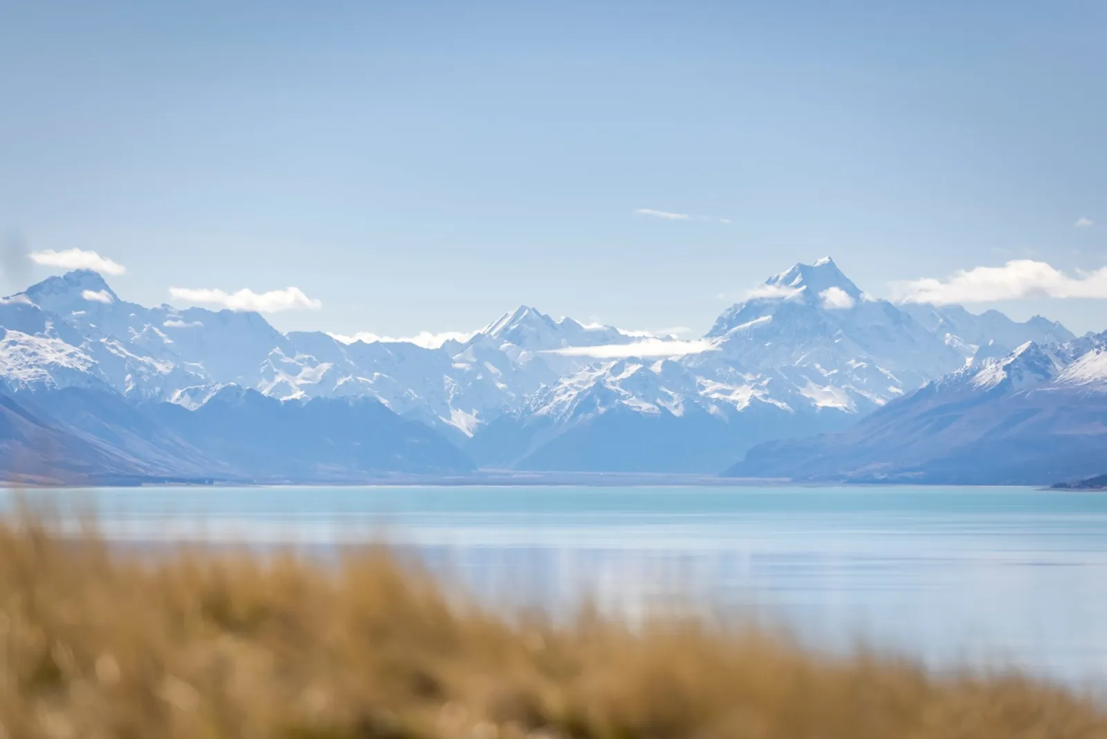 Aoraki/Mount Cook and the Southern Alps seen across pale blue Lake Pūkaki, with blurred golden tussock in front