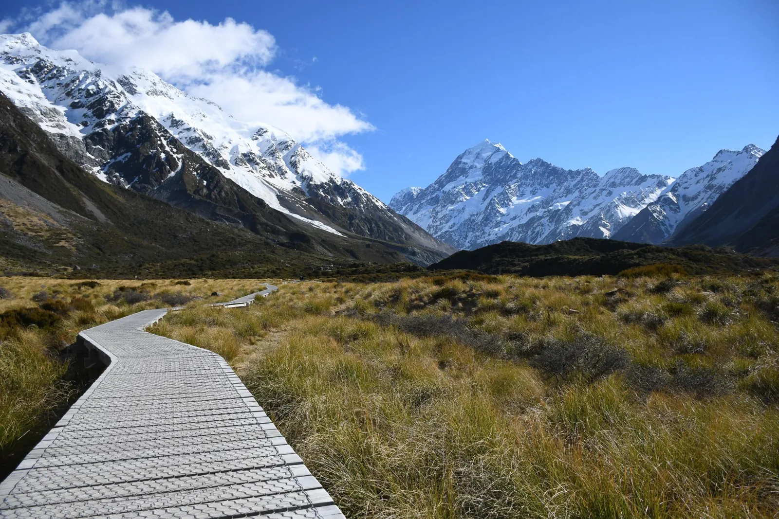 From Christchurch: Mount Cook & Lake Tekapo Day Tour & Lunch