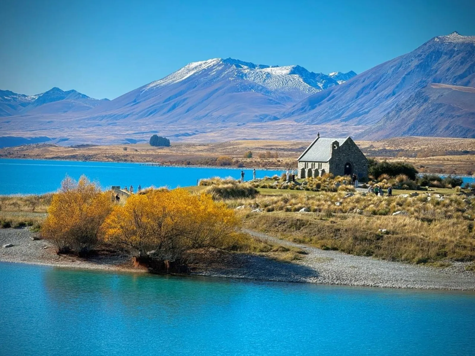 Church of the Good Shepherd on the turquoise shore of Lake Tekapo, with yellow autumn willows in front